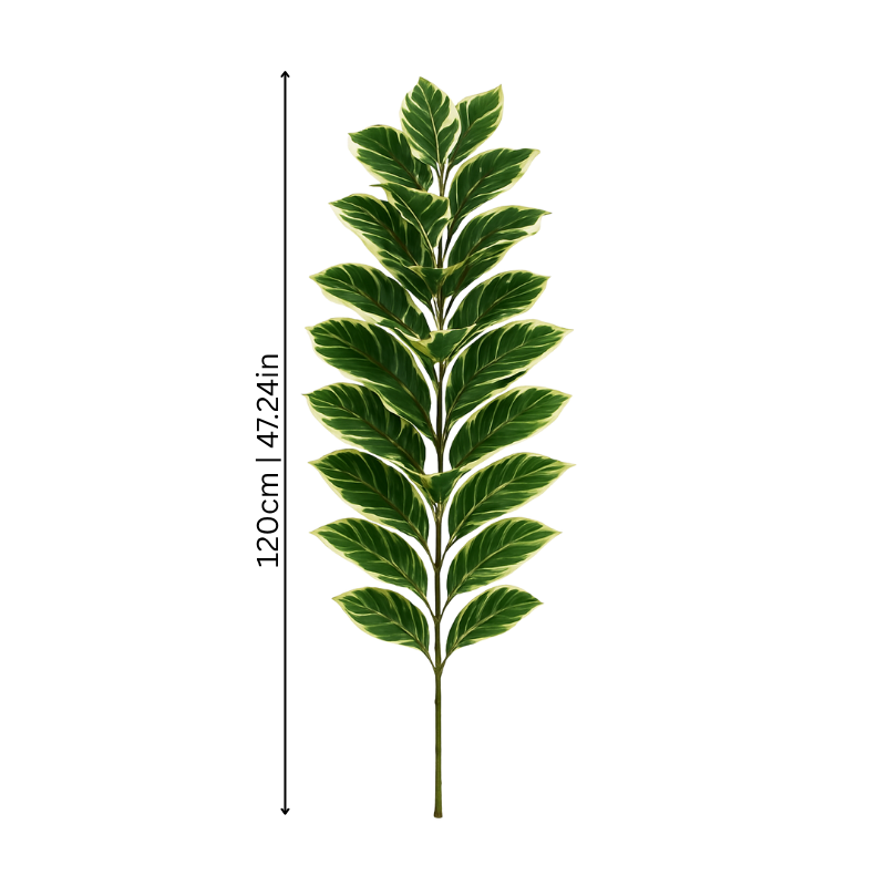 FreshFig