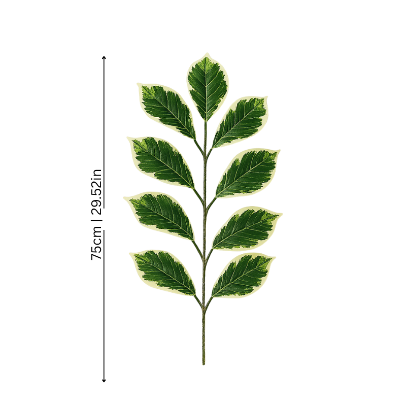 FreshFig
