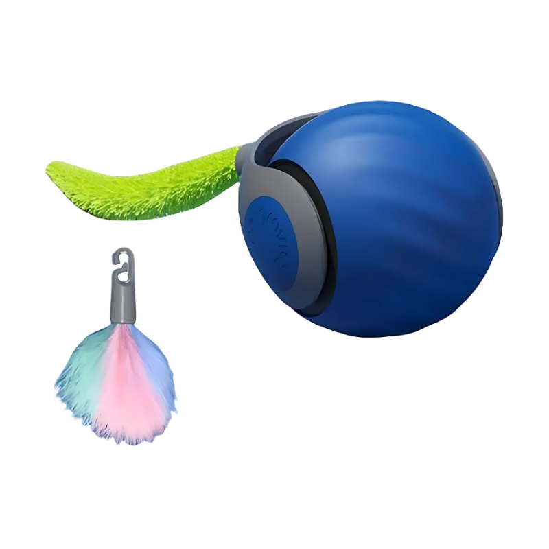 HuntBall