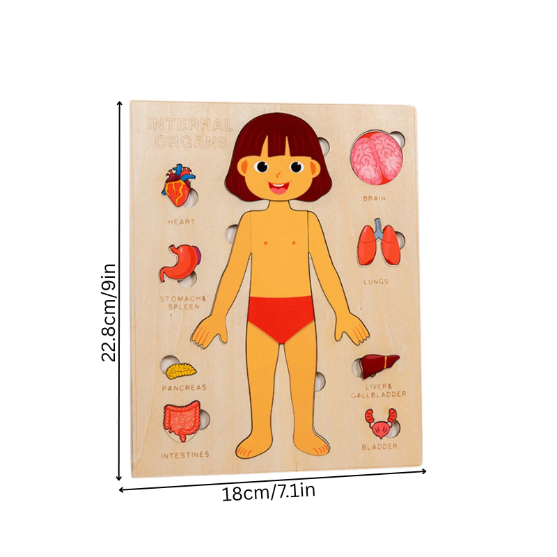 BodyPuzzle