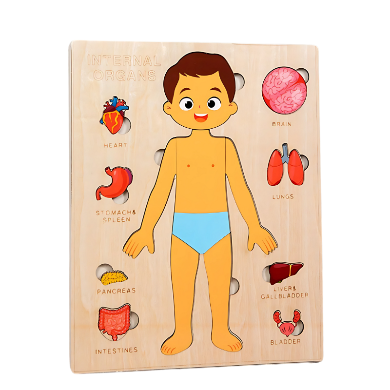 BodyPuzzle