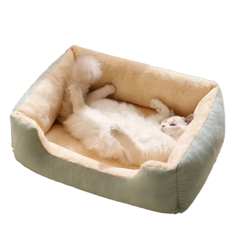 SoftNest