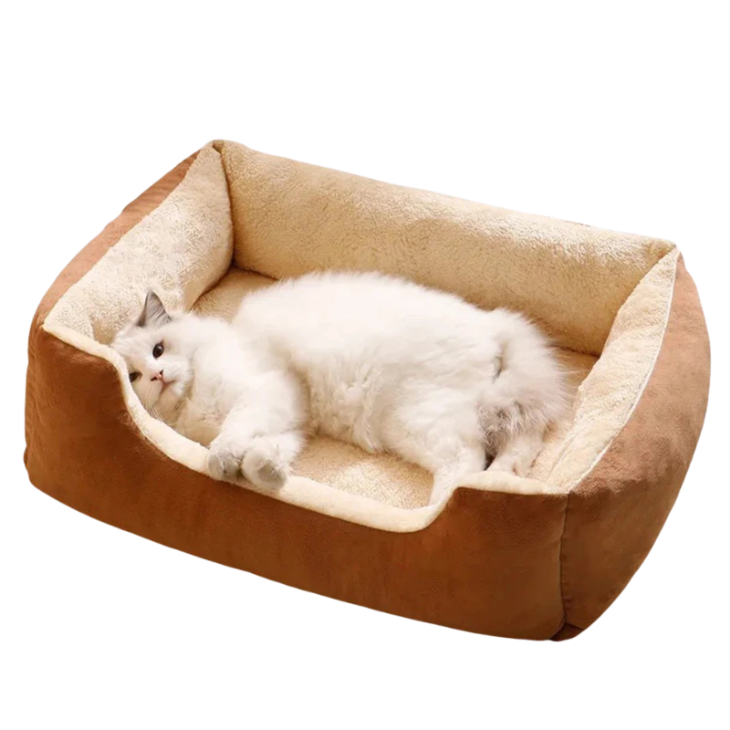 SoftNest