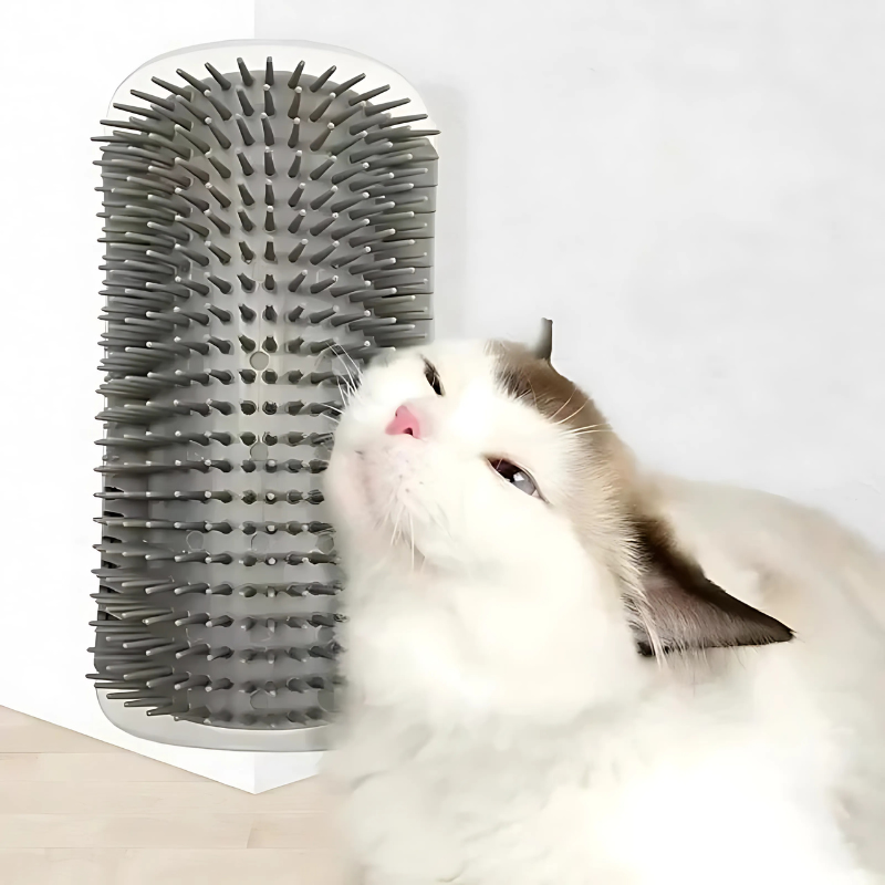 Felinique