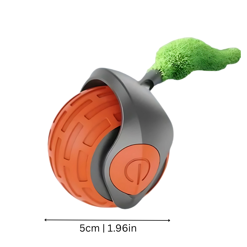 BounceChase