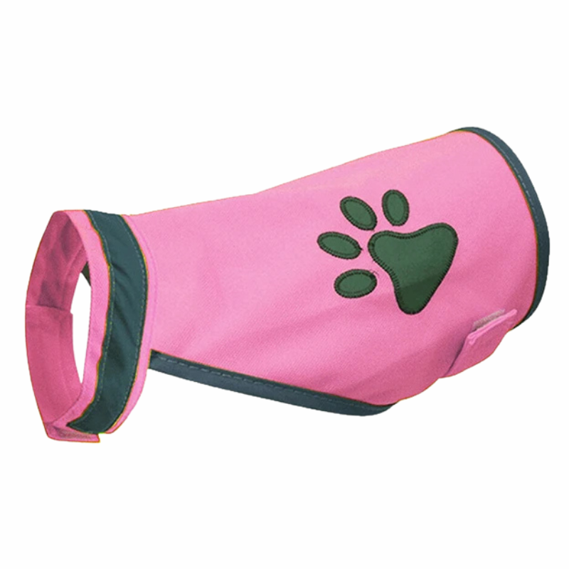 PawGlint