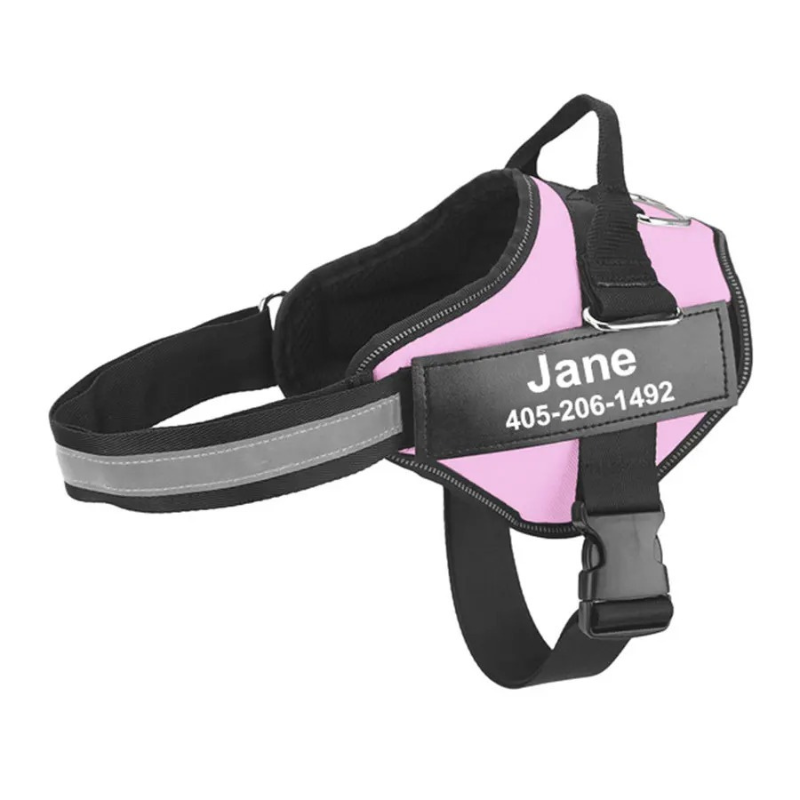 NameHarness