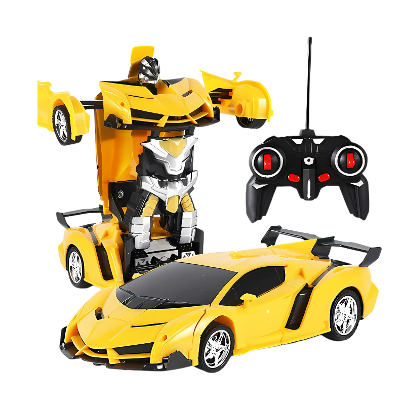 RoboDash