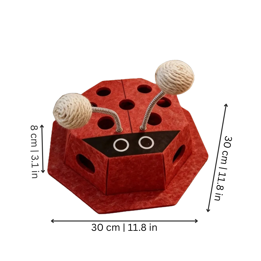 FelineFunBox