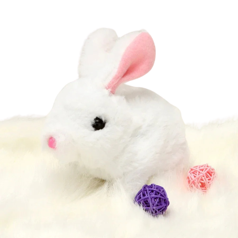 CuddleHop