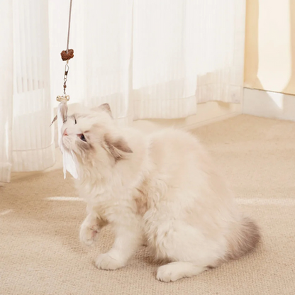 CatFlip