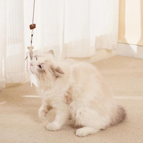 CatFlip