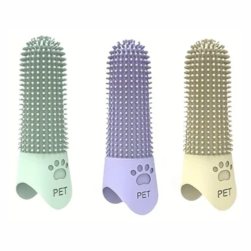 BrushBuddy