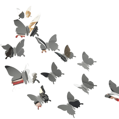 WallFlutter