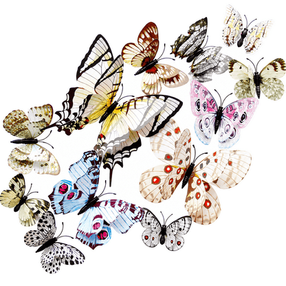 WingWhimsy