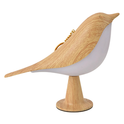 AviAura