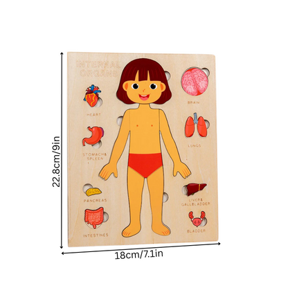 BodyPuzzle