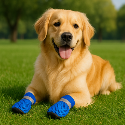 PawBreeze