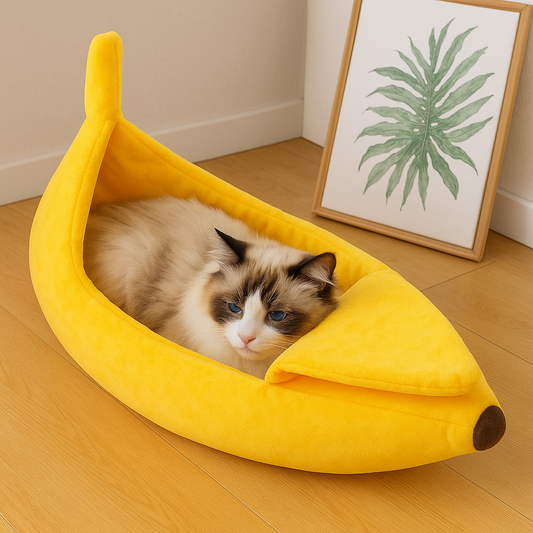 BananaNap