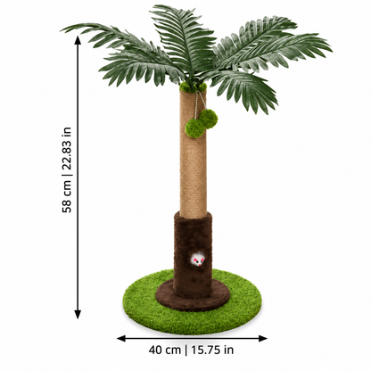CoconutClaw
