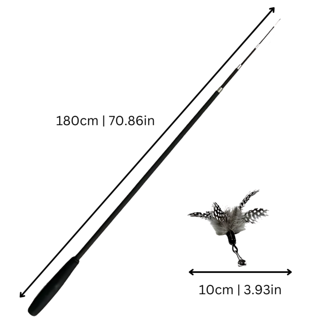 FeatherChase