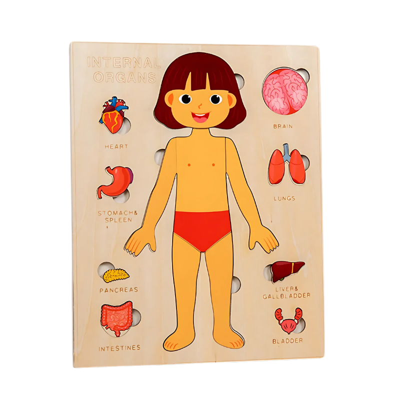BodyPuzzle