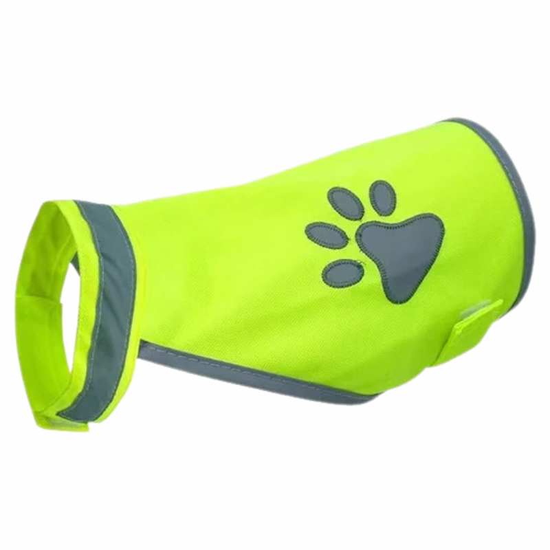 PawGlint
