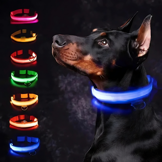 Luminet