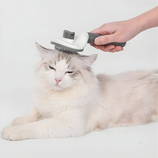 GroomNest