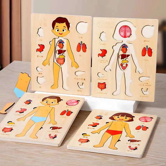 BodyPuzzle