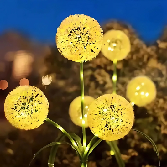 DandyLite