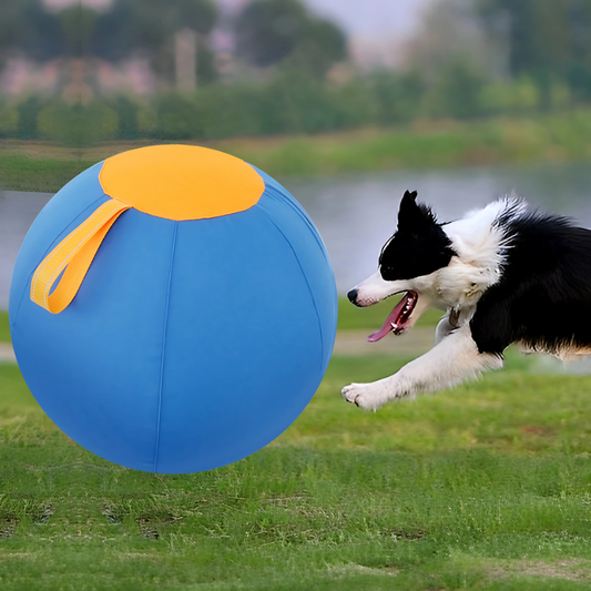 Ballaro
