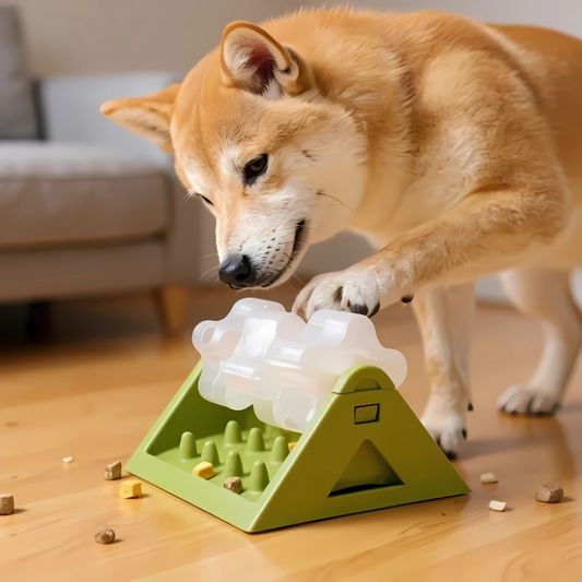 Pawvent