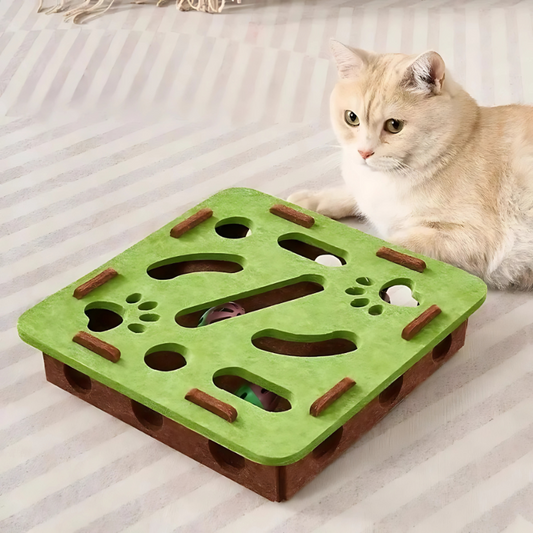 PawRumble