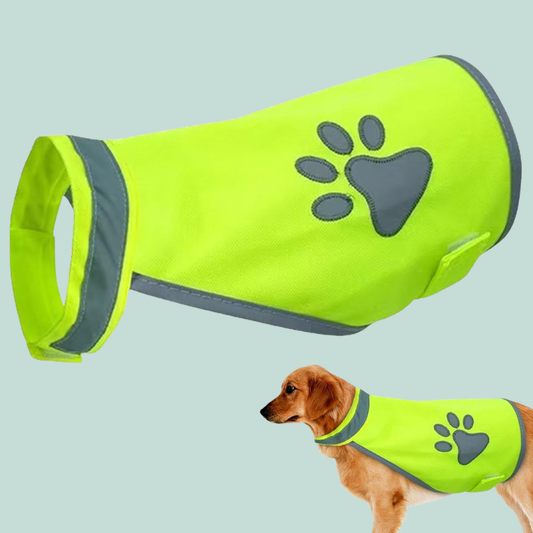 PawGlint