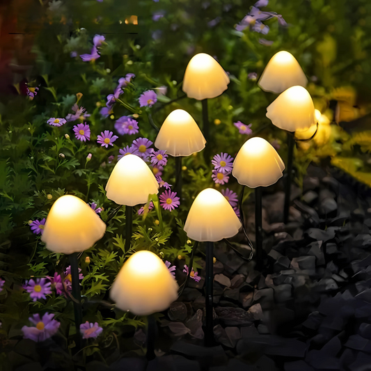ShroomShine