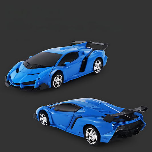RoboDash