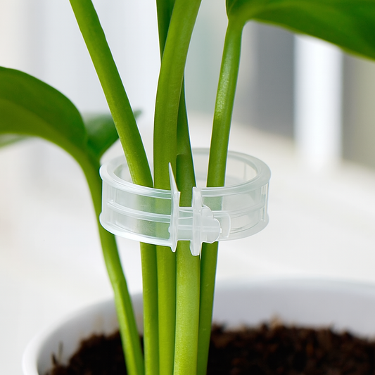 PlantLock