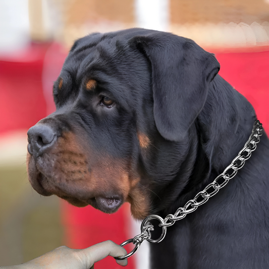 FurGuard