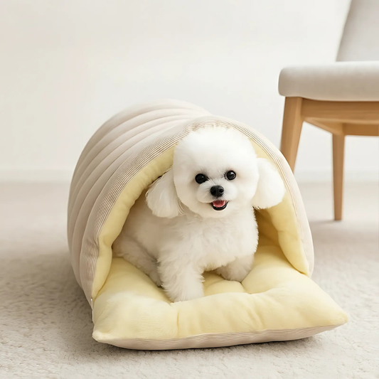 Cozino