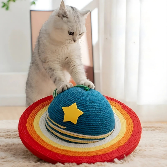 Felinovaaa