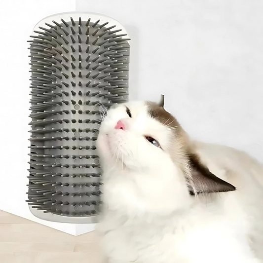 Felinique