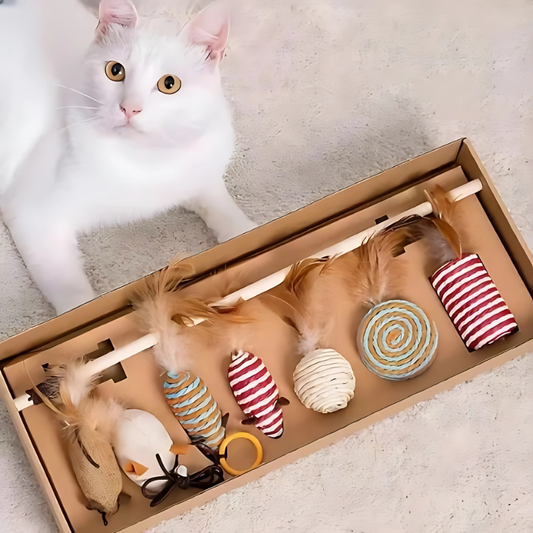 Pawtasticoi