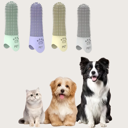 BrushBuddy