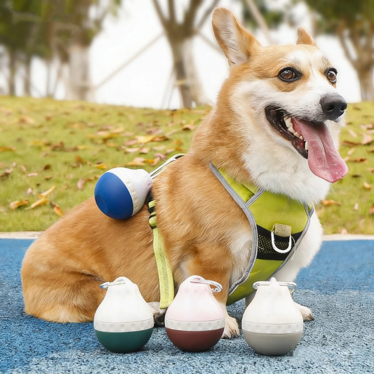 Pawquench