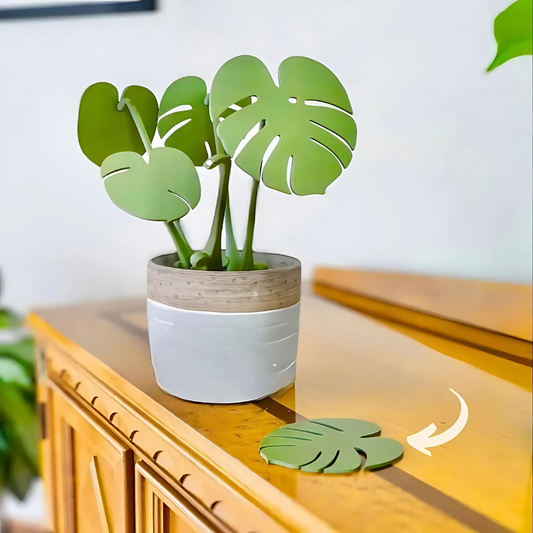 PlantMag