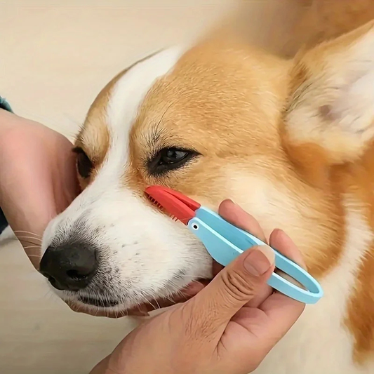 FurBrush