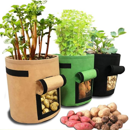 GrowView