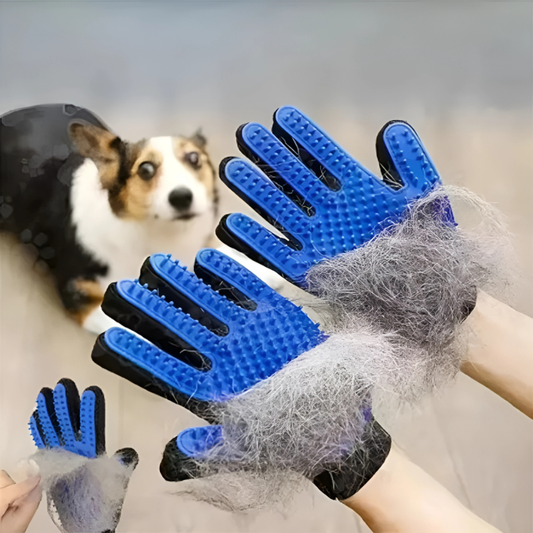 Pawtastic