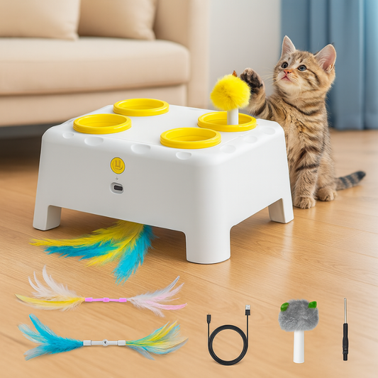 Pawtasticorai